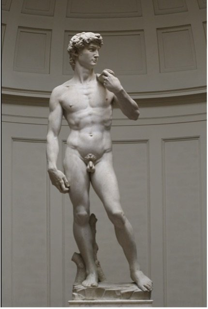 Michelangelo, David (frontal view), 1501-1504, Marble, Galleria dell ‘Accademia, Florence, Italy