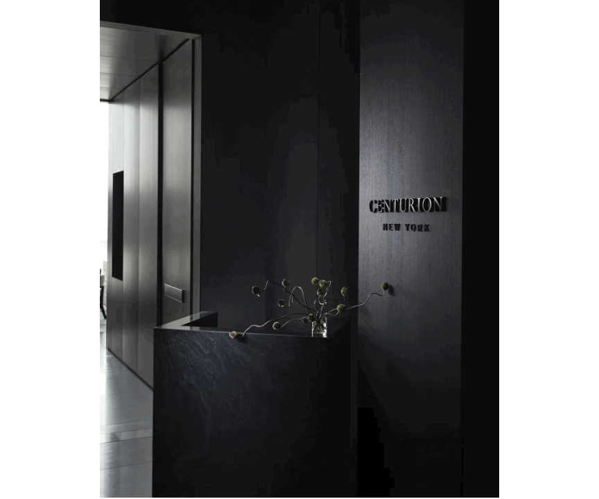 Art Meets Luxury: The Selects Gallery at The New Centurion New York at One Vanderbilt