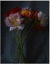 3. Dark & Earthy.pdf-image-182.jpg