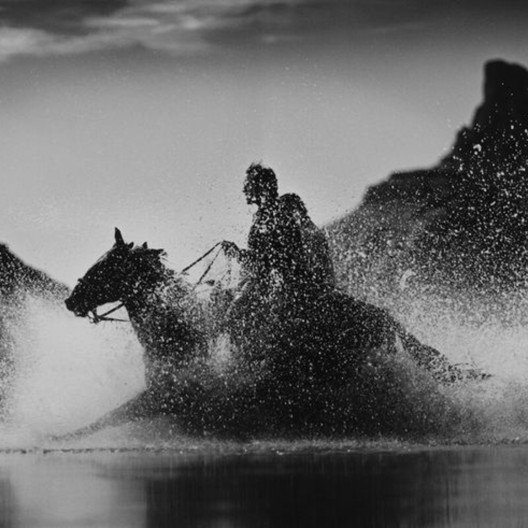 Photography’s Revival - Extracts of The New York Times &amp; The Economist