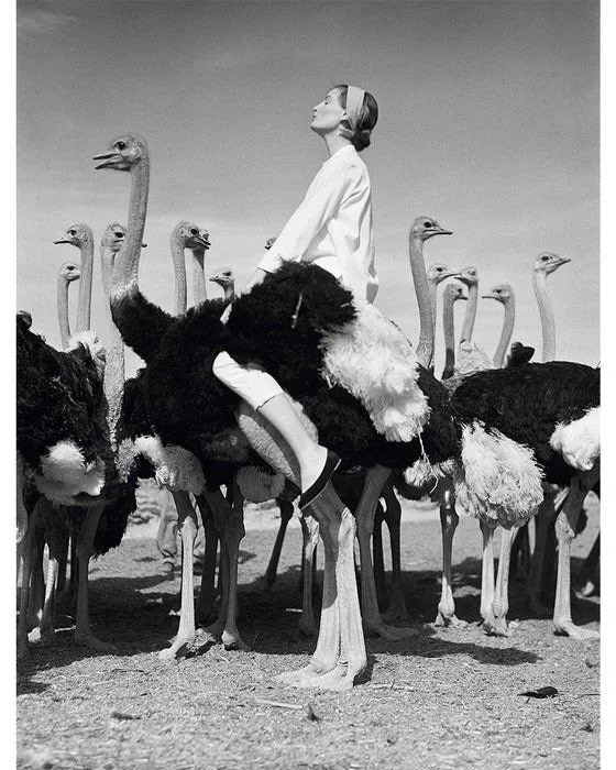 1950–1959 The Golden Age of Fashion Photography