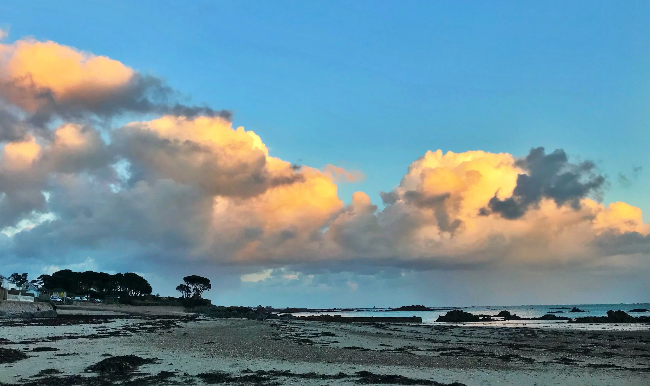 Green Island Jersey.JPG