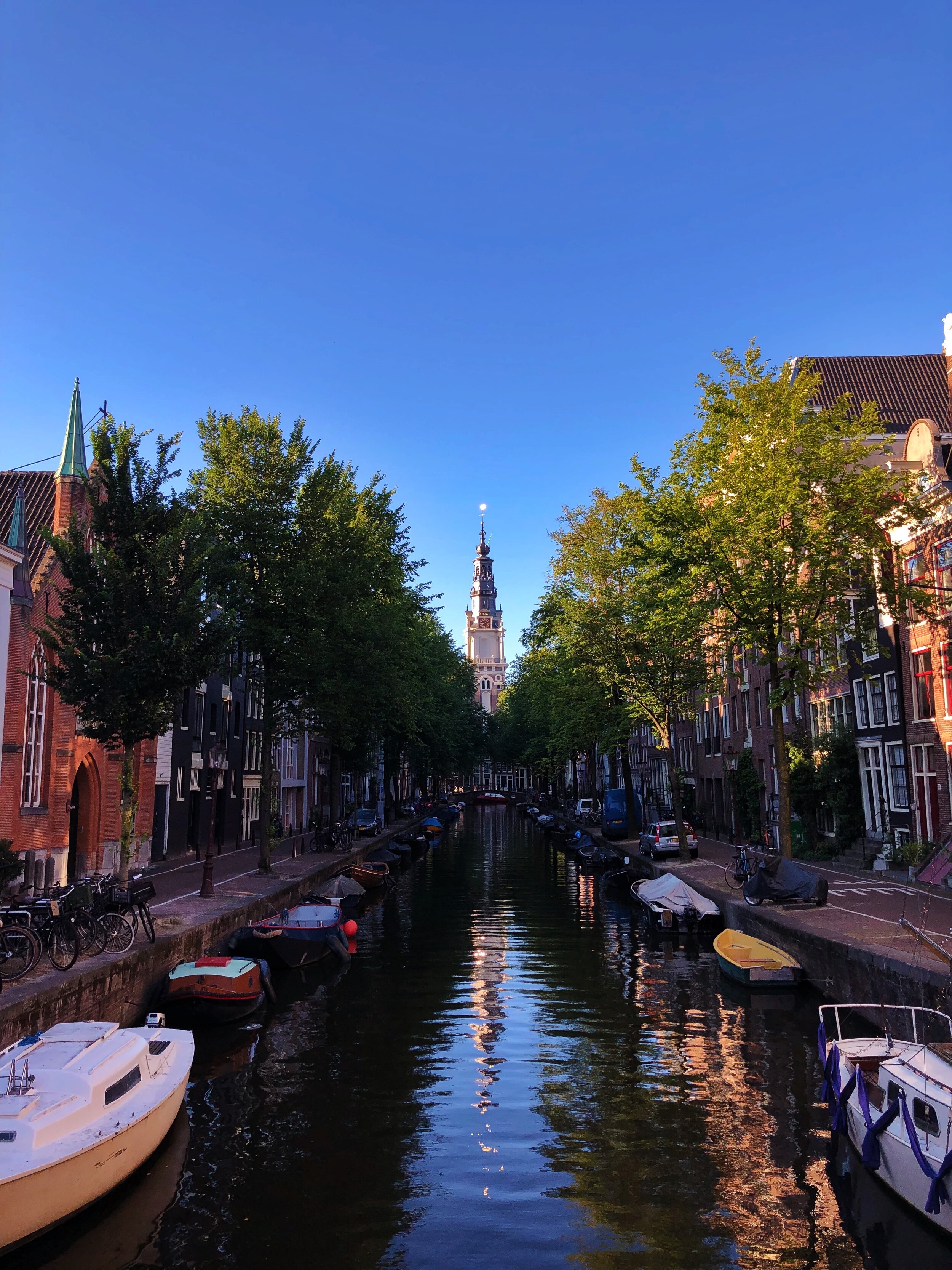 AfterlightImage 22.JPG