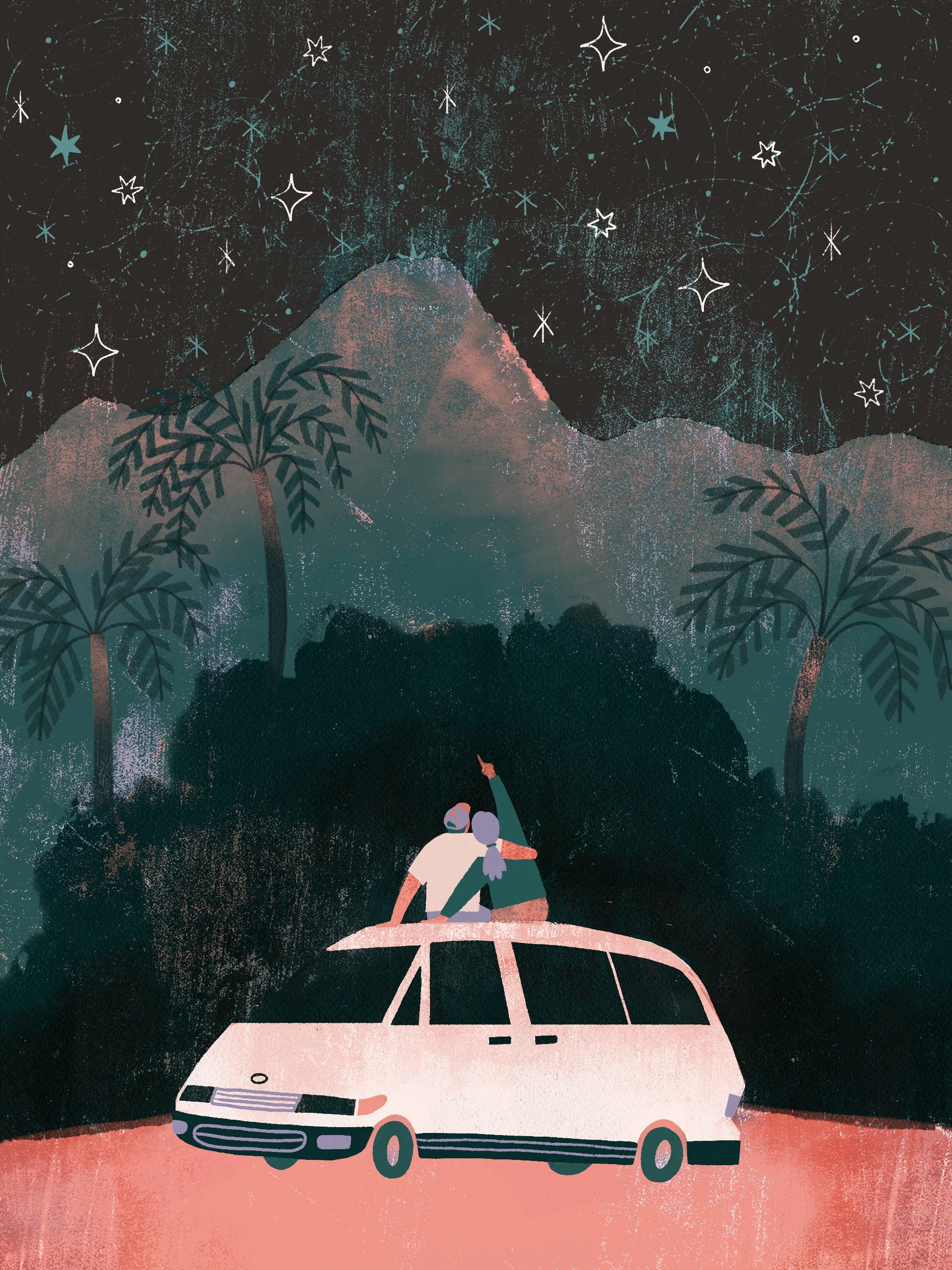 NZ_StarryVan_Prog2_Crop.jpg