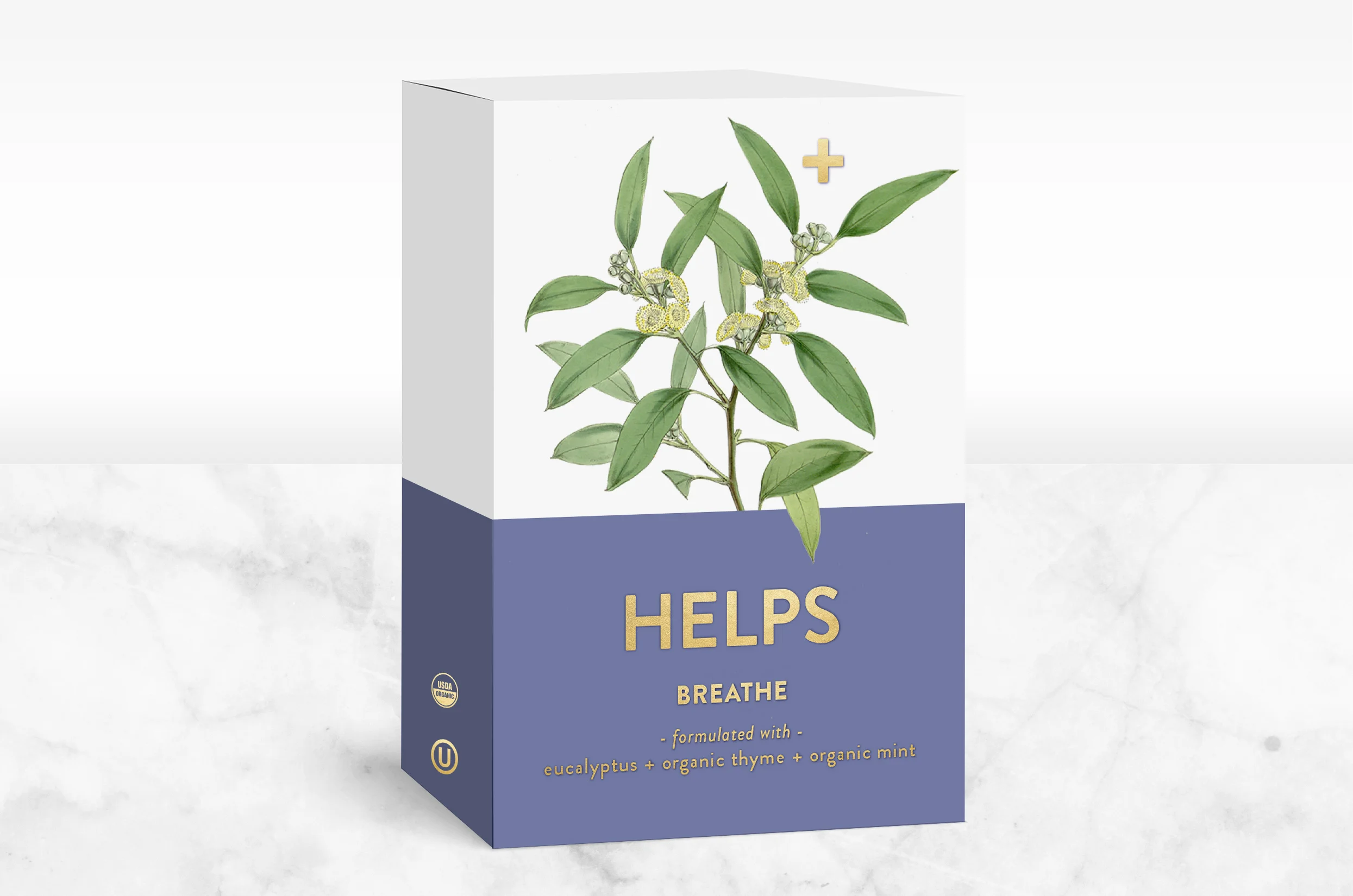 HLP_box_botany5.jpg