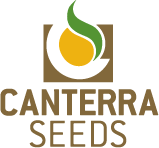 canterra-logo-colour.png