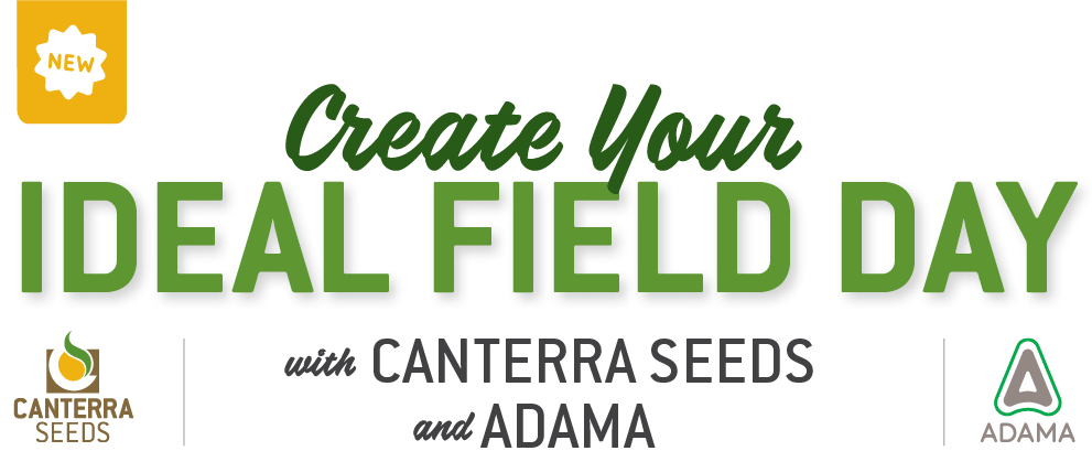 create-your-ideal-field-day.png