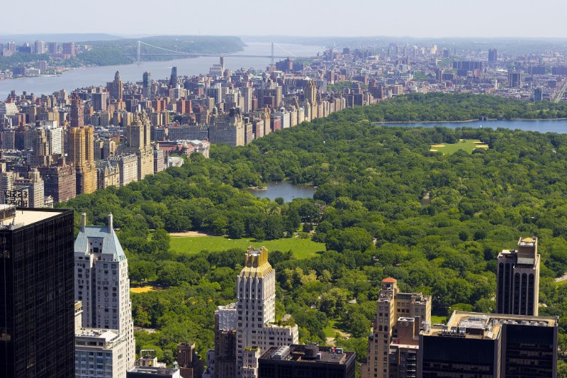 3GNY Central Park Walk
