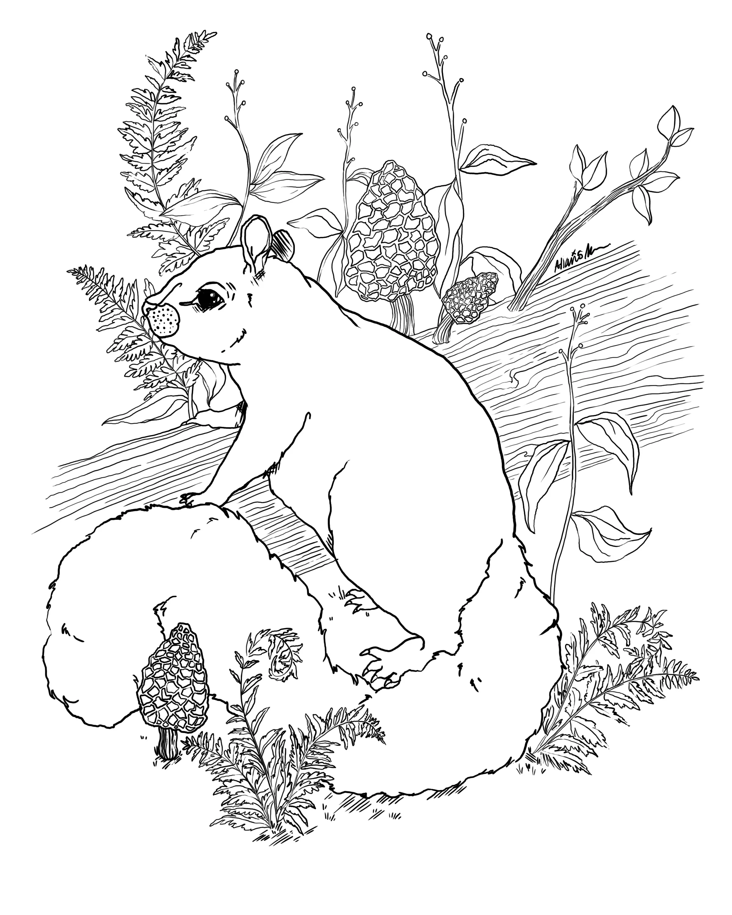 squirrelgrpm.jpg