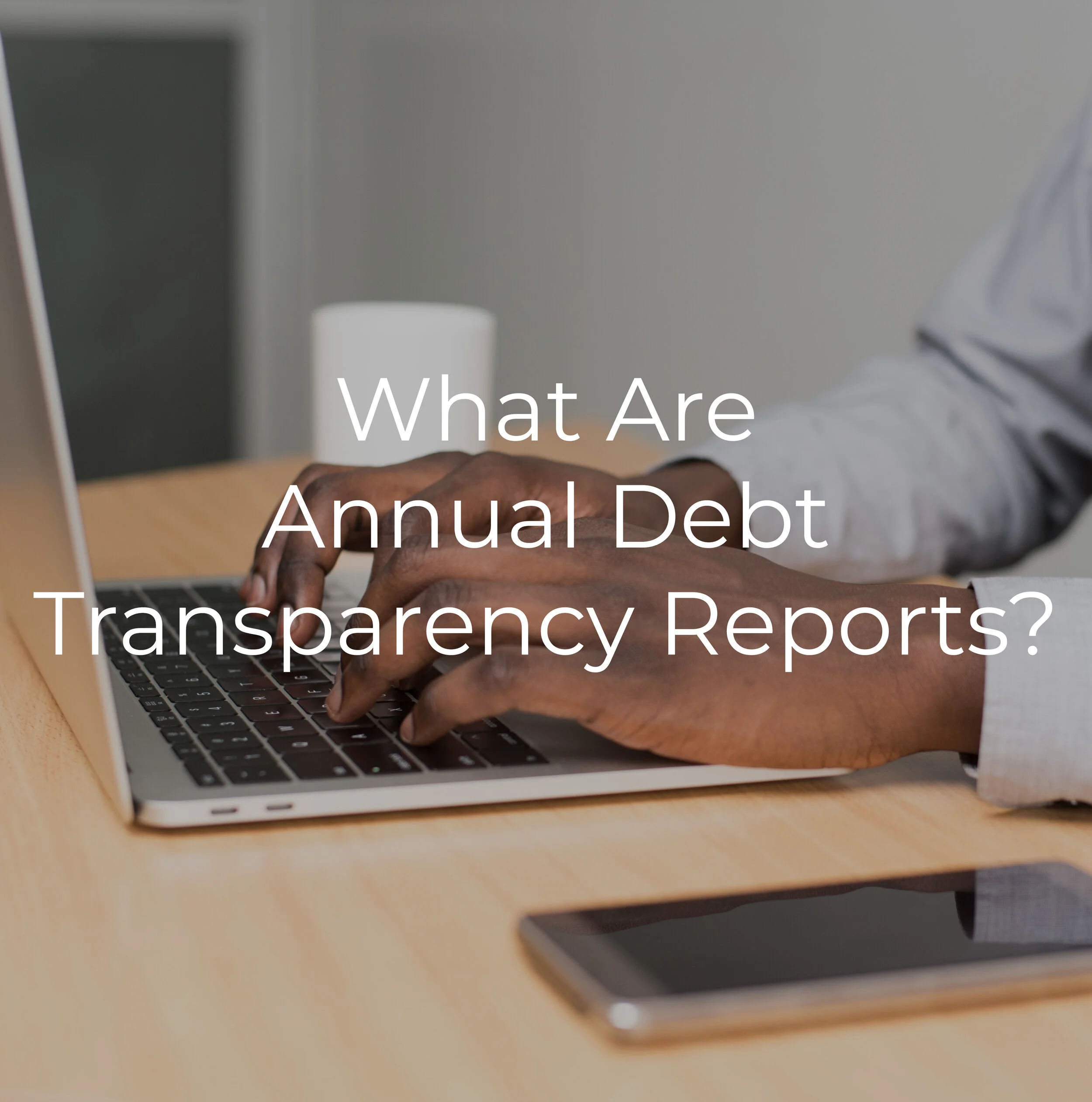 What Are Annual Debt Transparency Reports?