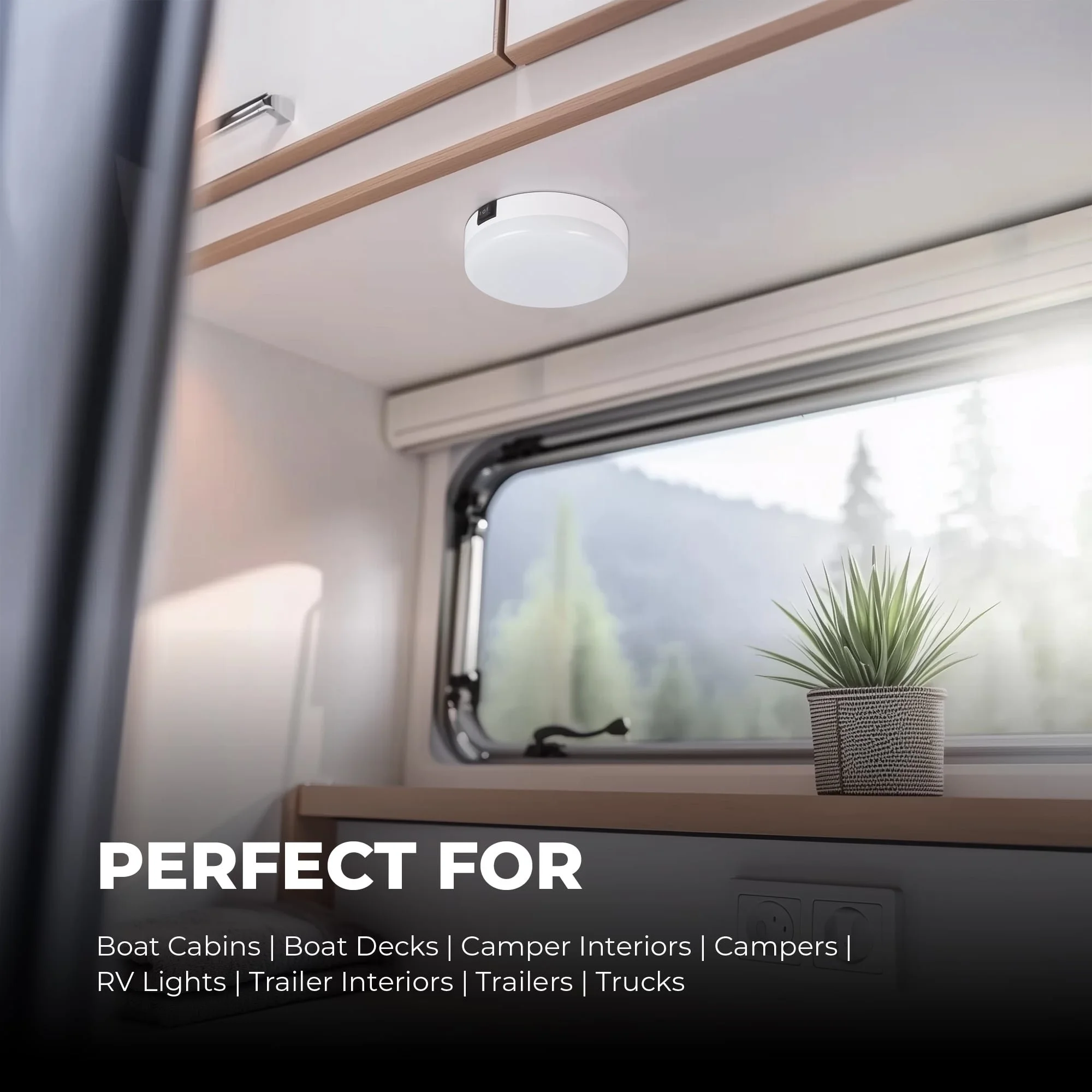 BDL-WB-SM_Perfect For-min.jpg