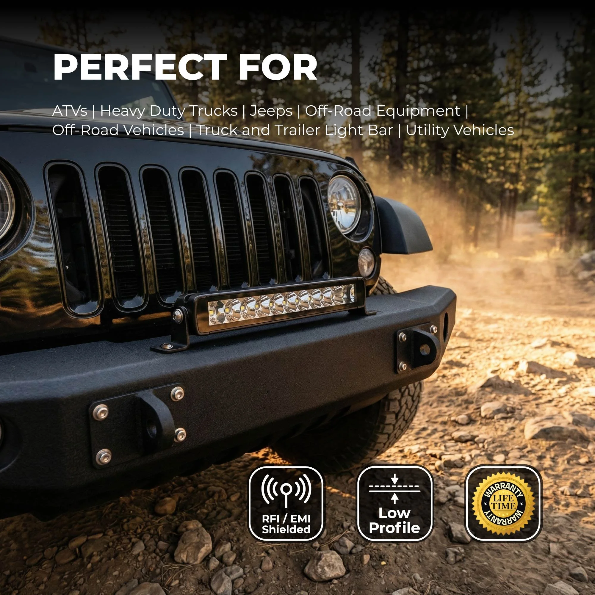 STL-SR-10_Perfect For.jpg