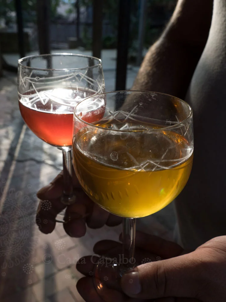 Macerated qvevri wines offer a range of colours