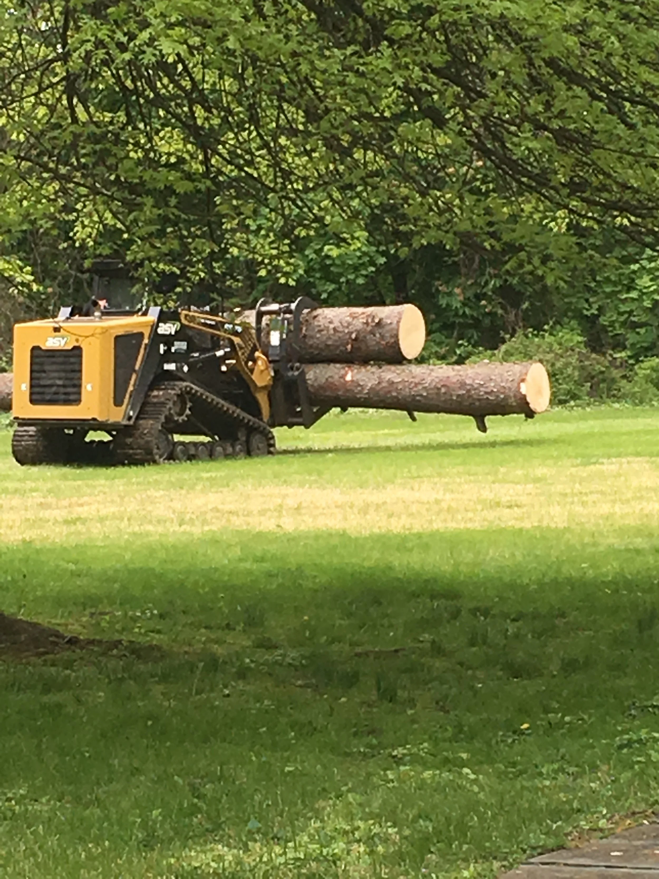 IMG_2998.JPG