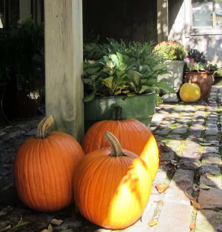 Fall 5 2018.jpg
