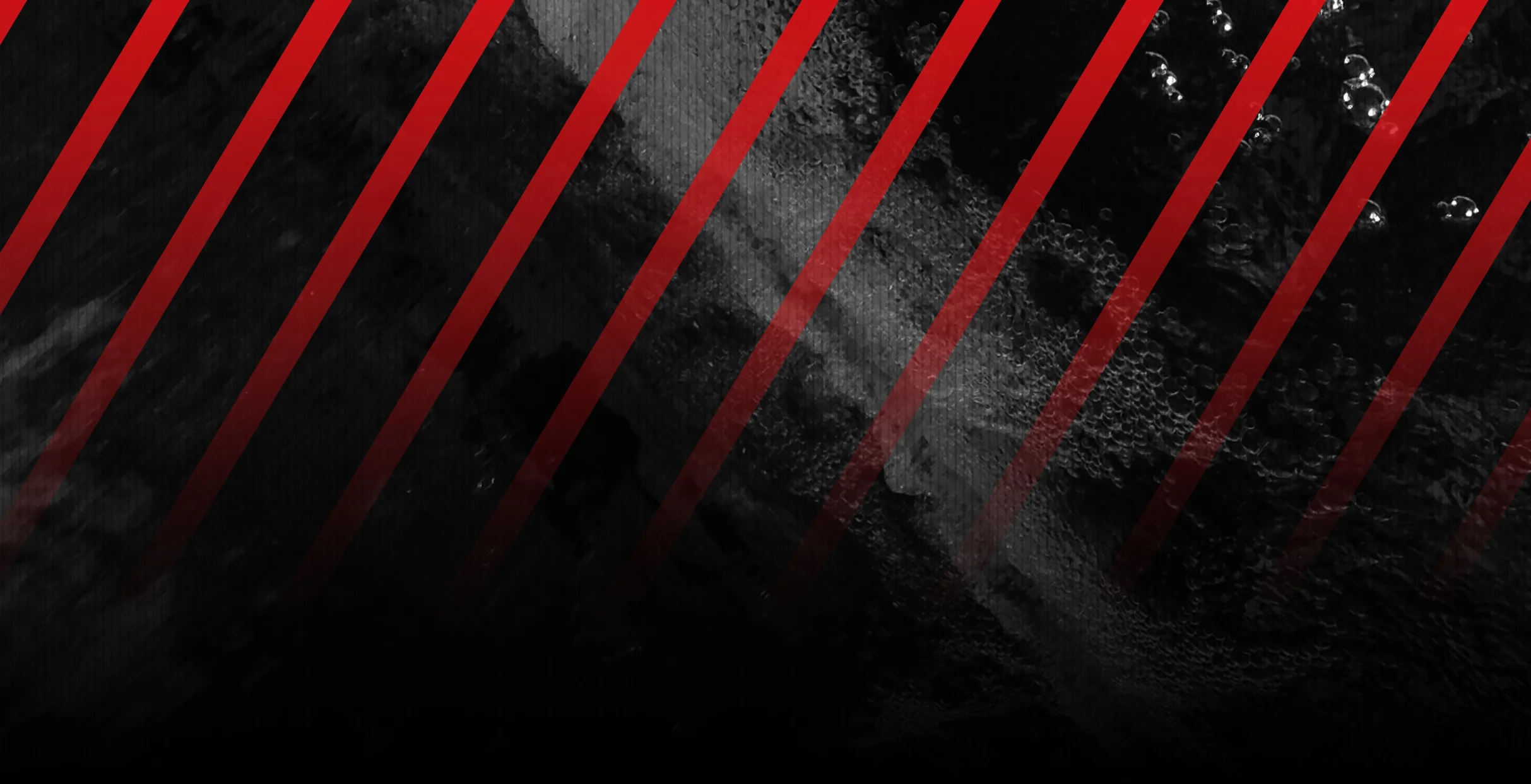PCL_homebanner4.jpg