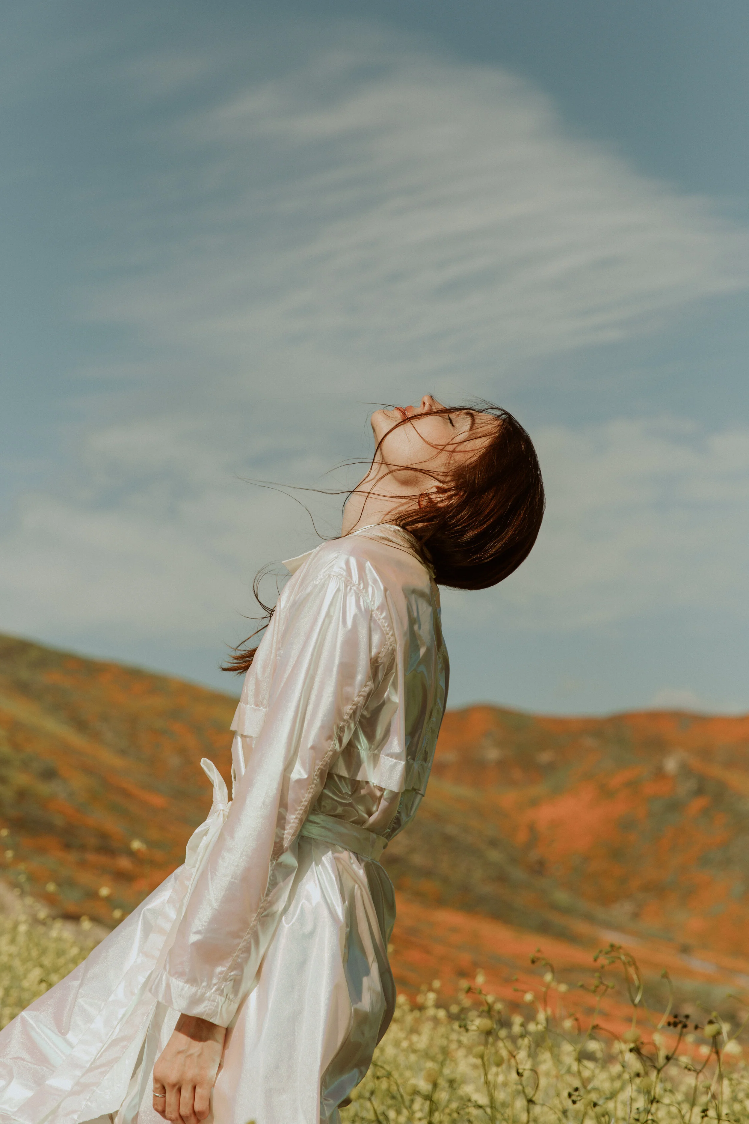 jules_davies_wildflowers_2.jpg