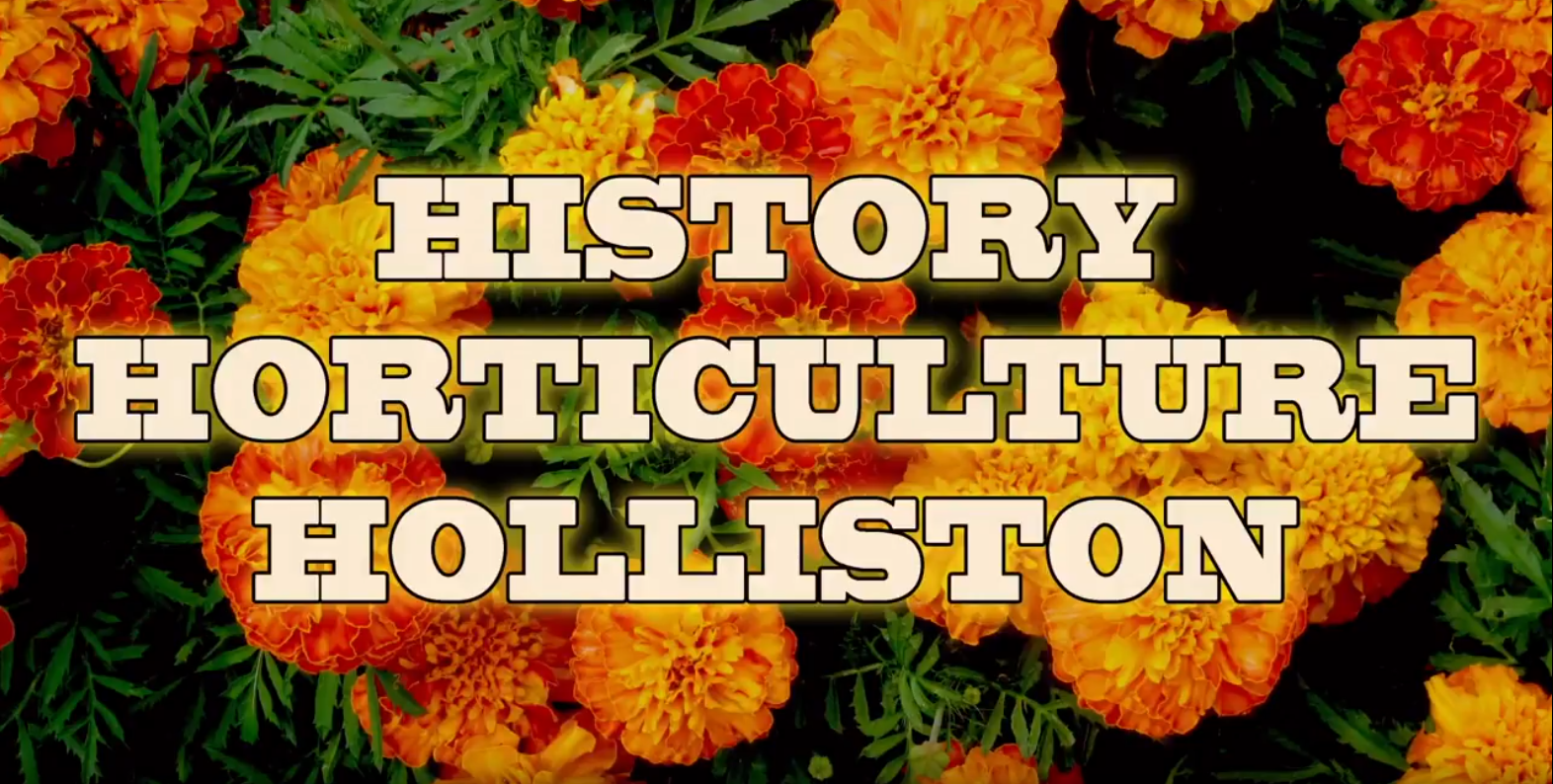 Heartbeat of Holliston: March 28, 2017