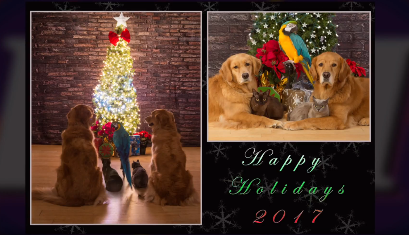 Heartbeat of Holliston: December 12, 2017