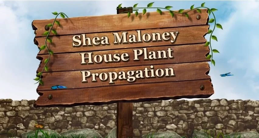 How Does Your Garden Grow?