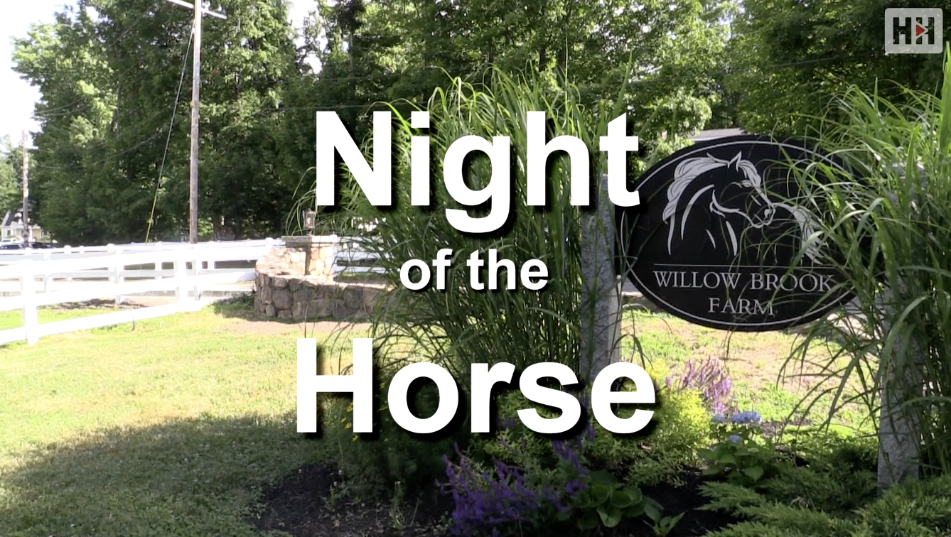 Night of the Horse