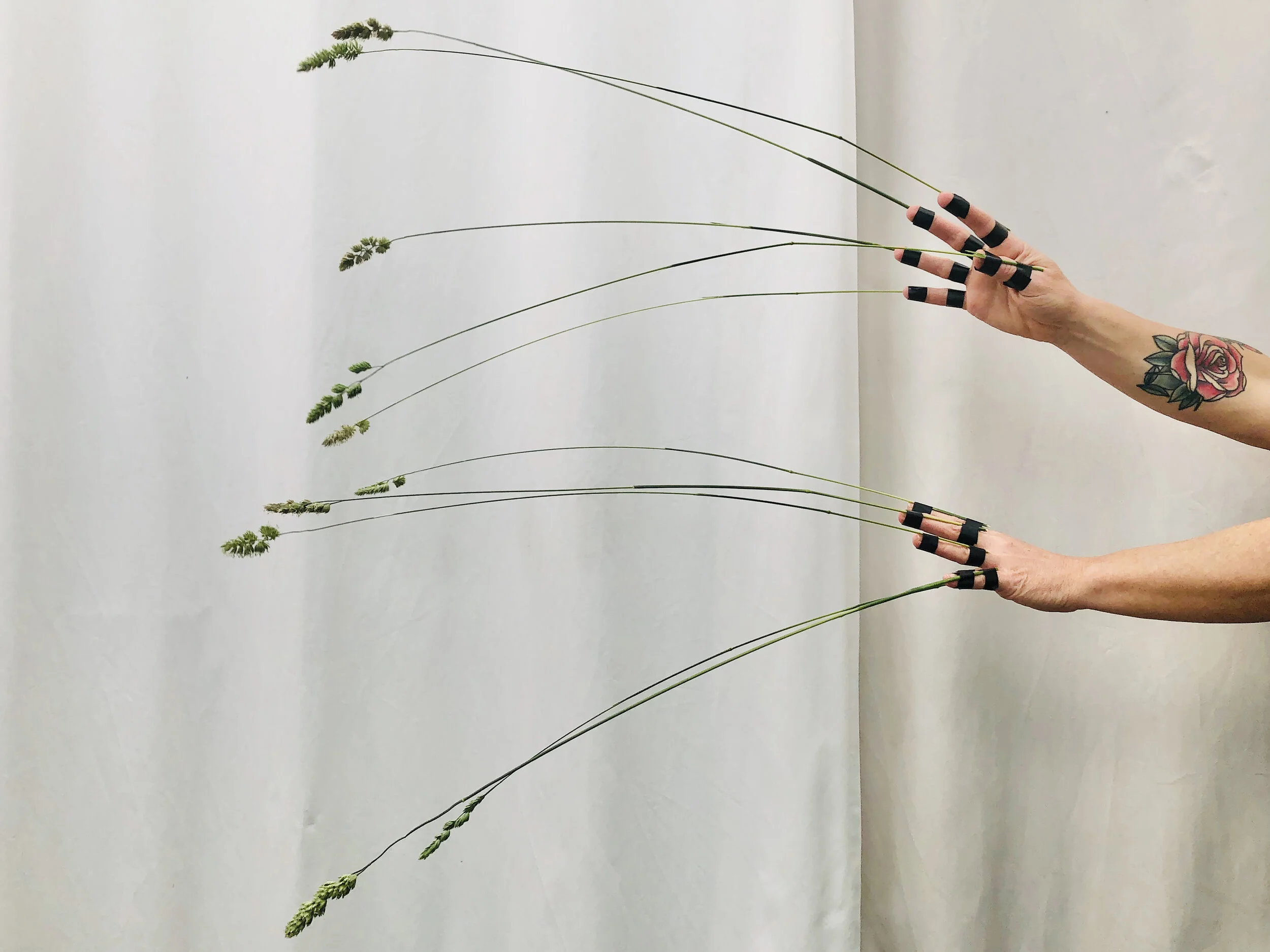 Pratiche di Contatto Amoroso a distanza