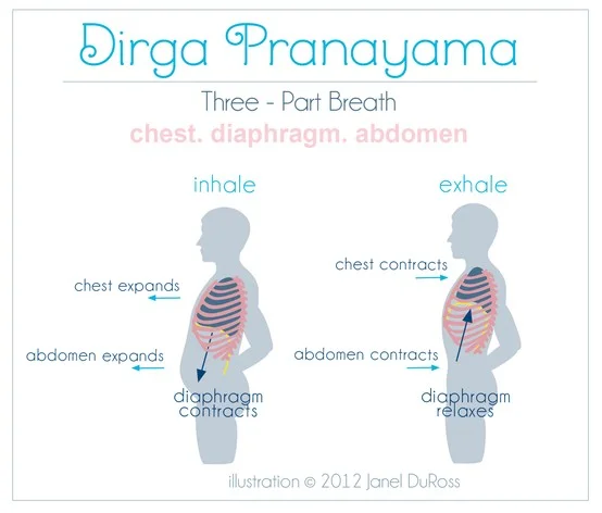 Deepens awareness of the breath and increases oxygen uptake and carbon dioxide output