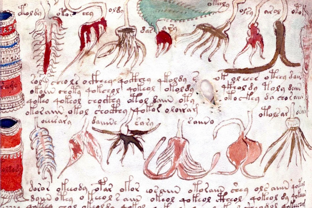 voynich-manuscript-20150204_gaf_uw4_1078-b.jpg