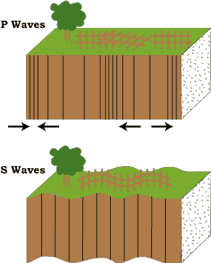 seismic_waves.gif