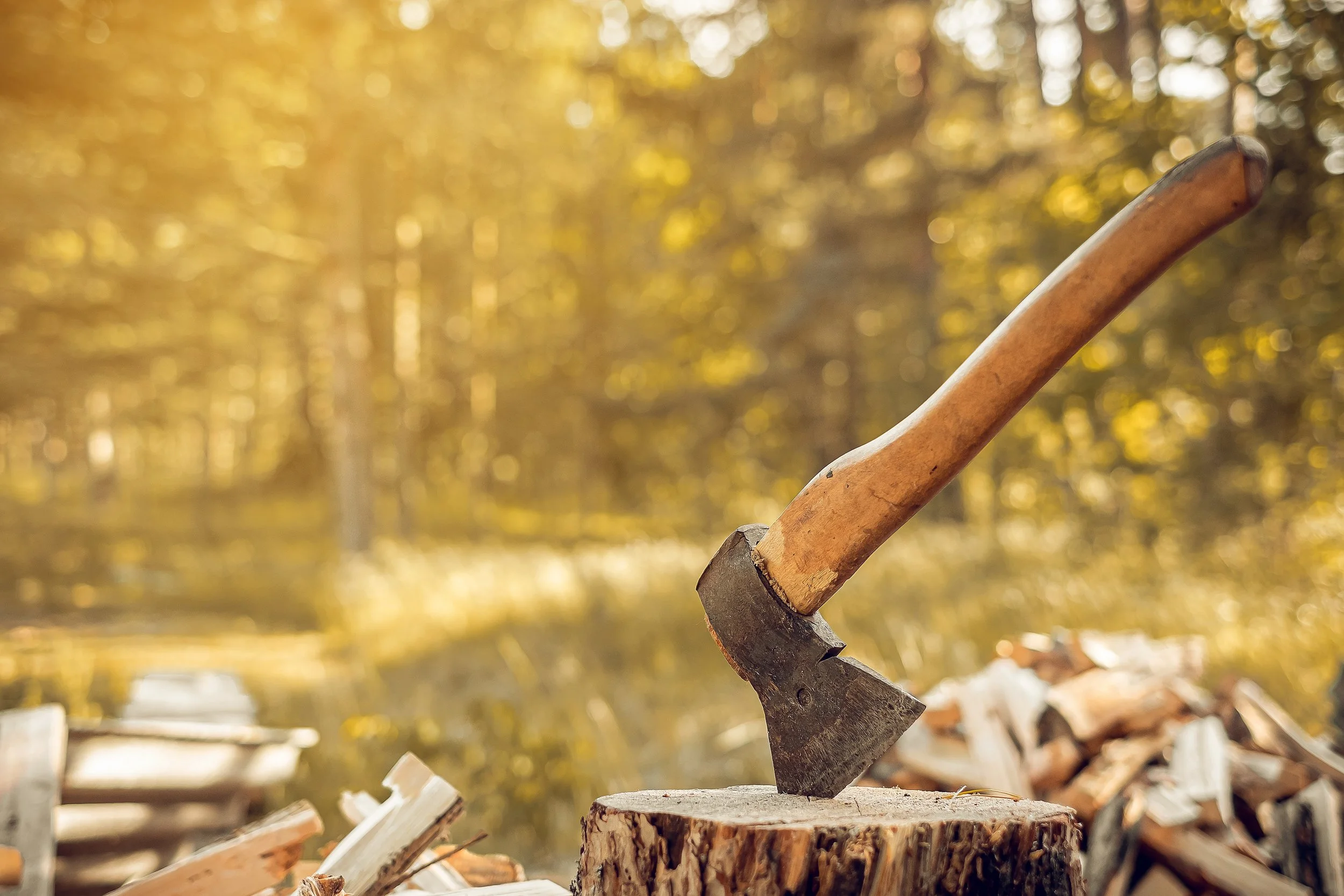 Axe - AdobeStock_343844073.jpeg