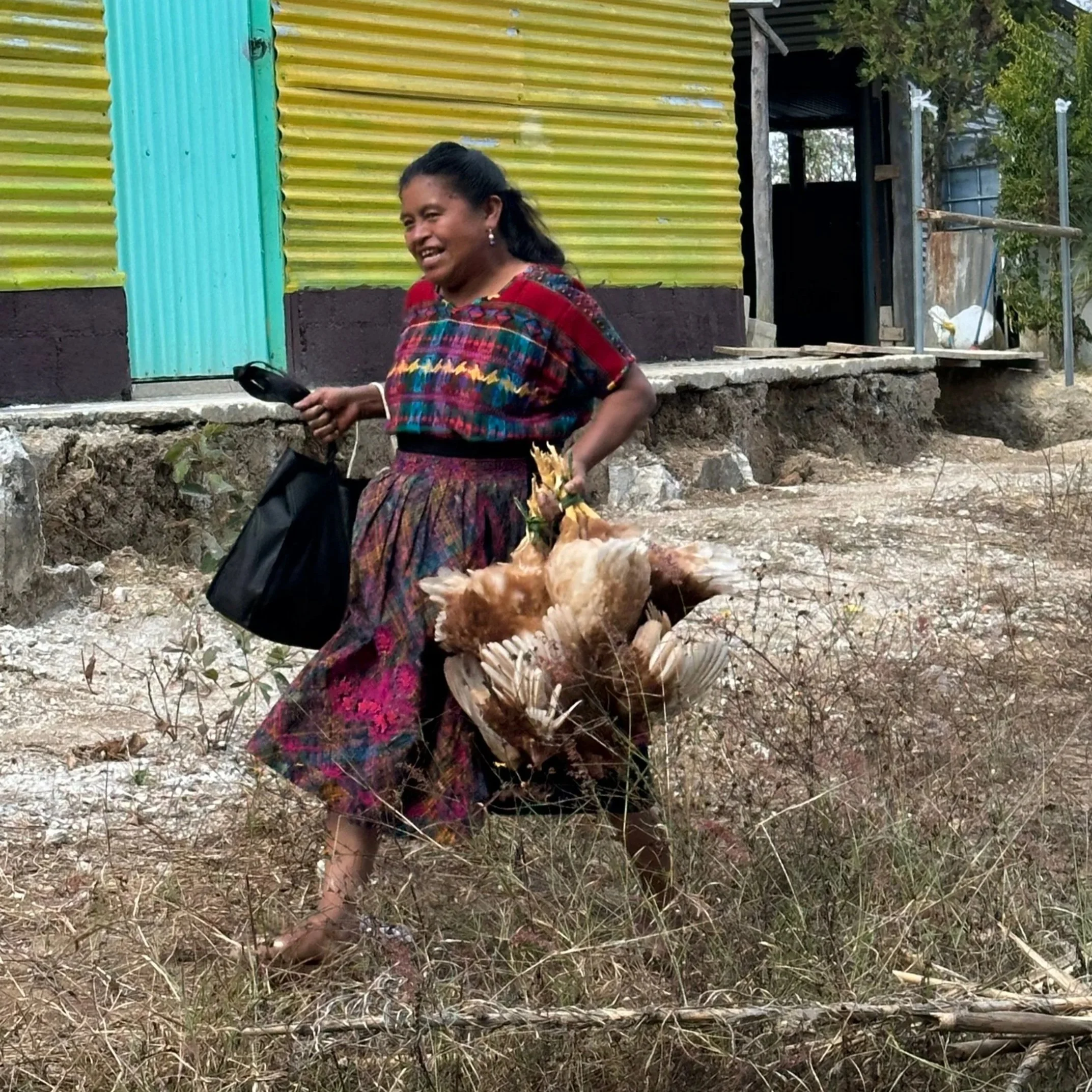 Guatemala+Ministry+-+Ministry+with+Chickens2.jpg