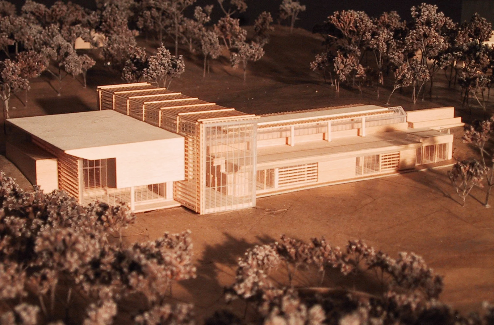 model-east copy.jpg