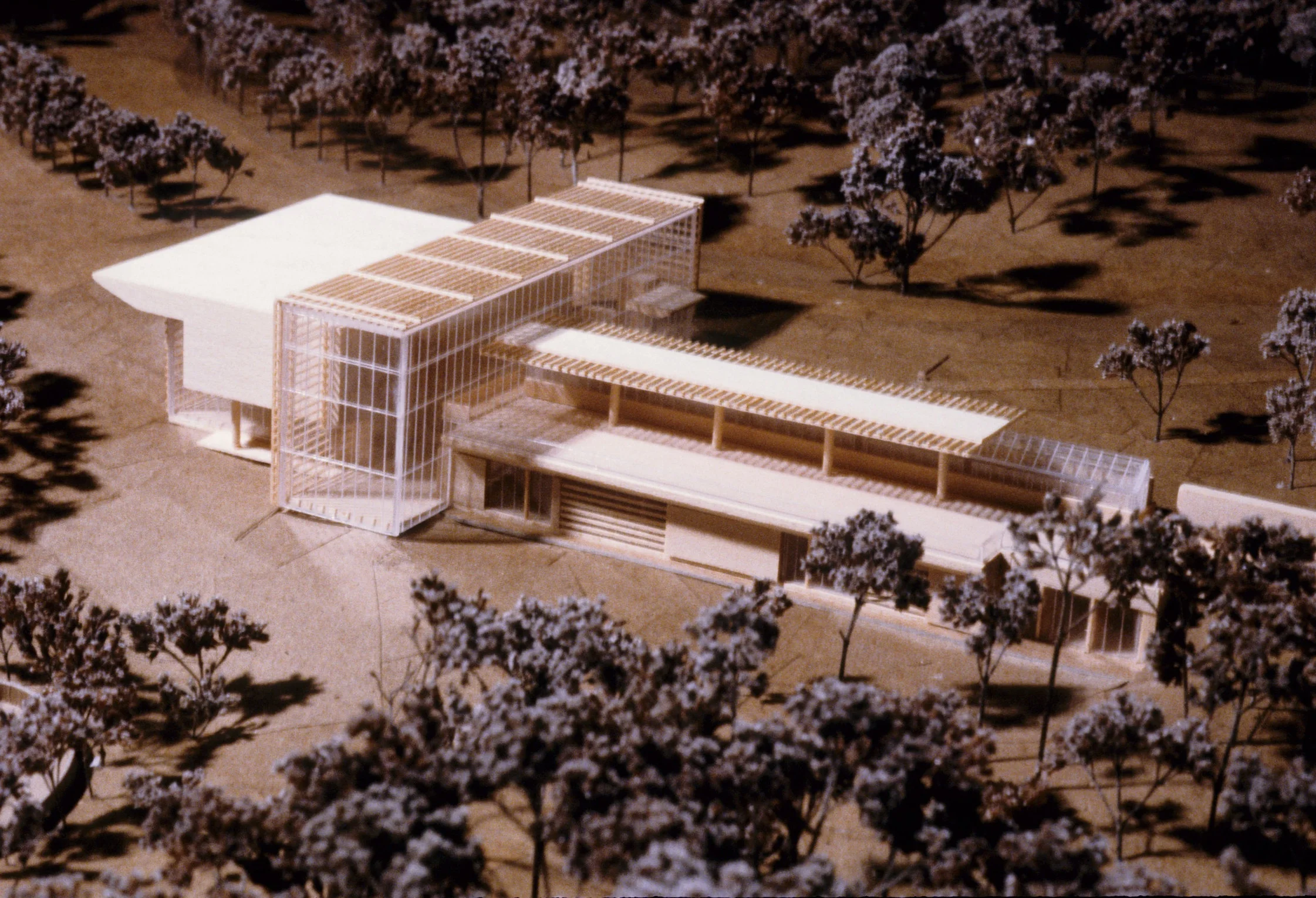 model-2.jpg