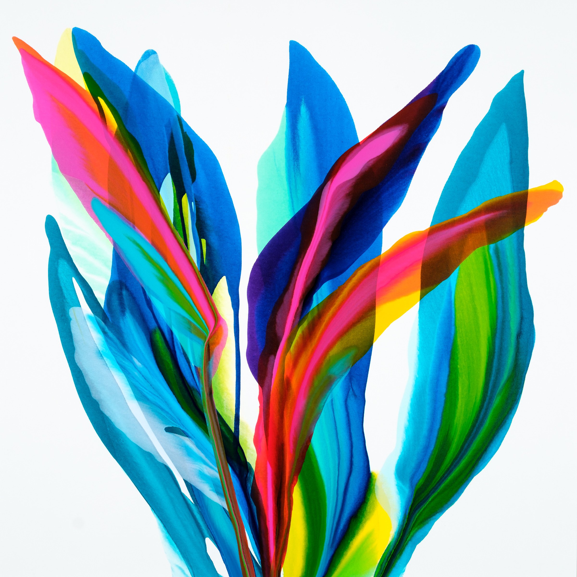 Oceanic Rythms_5.JPG