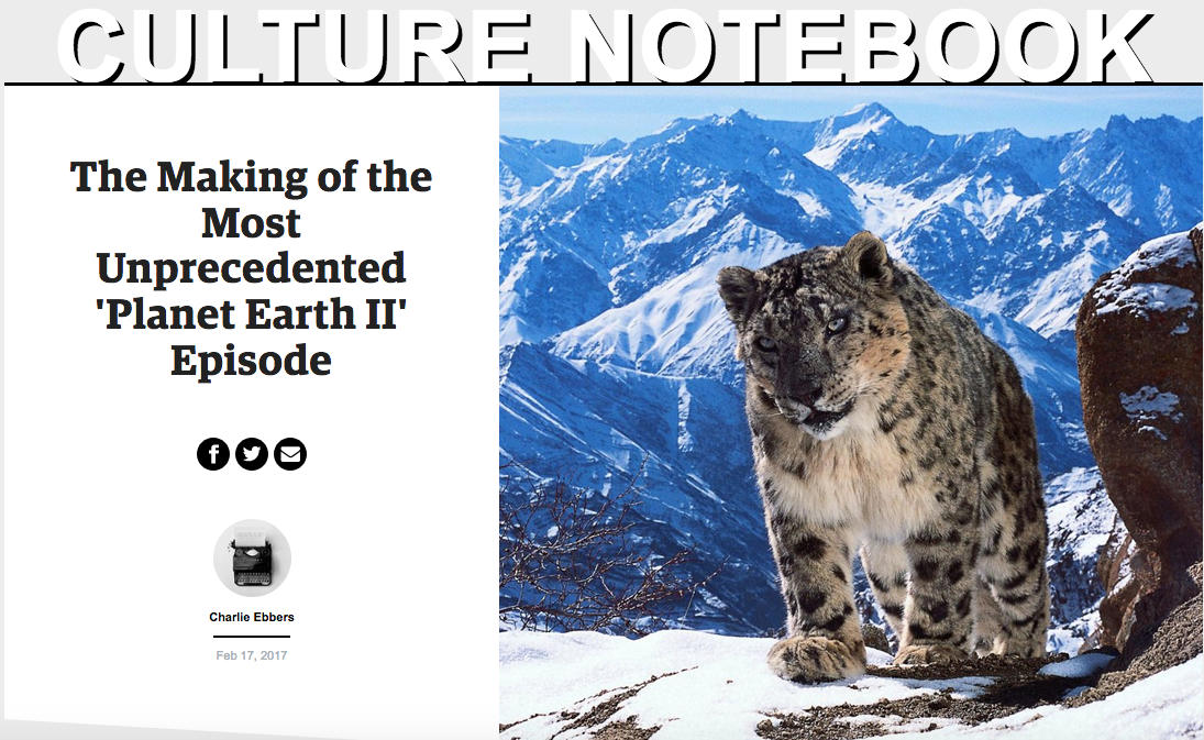 Interview: A talk with the mountain photographers of BBC's Planet Earth Two