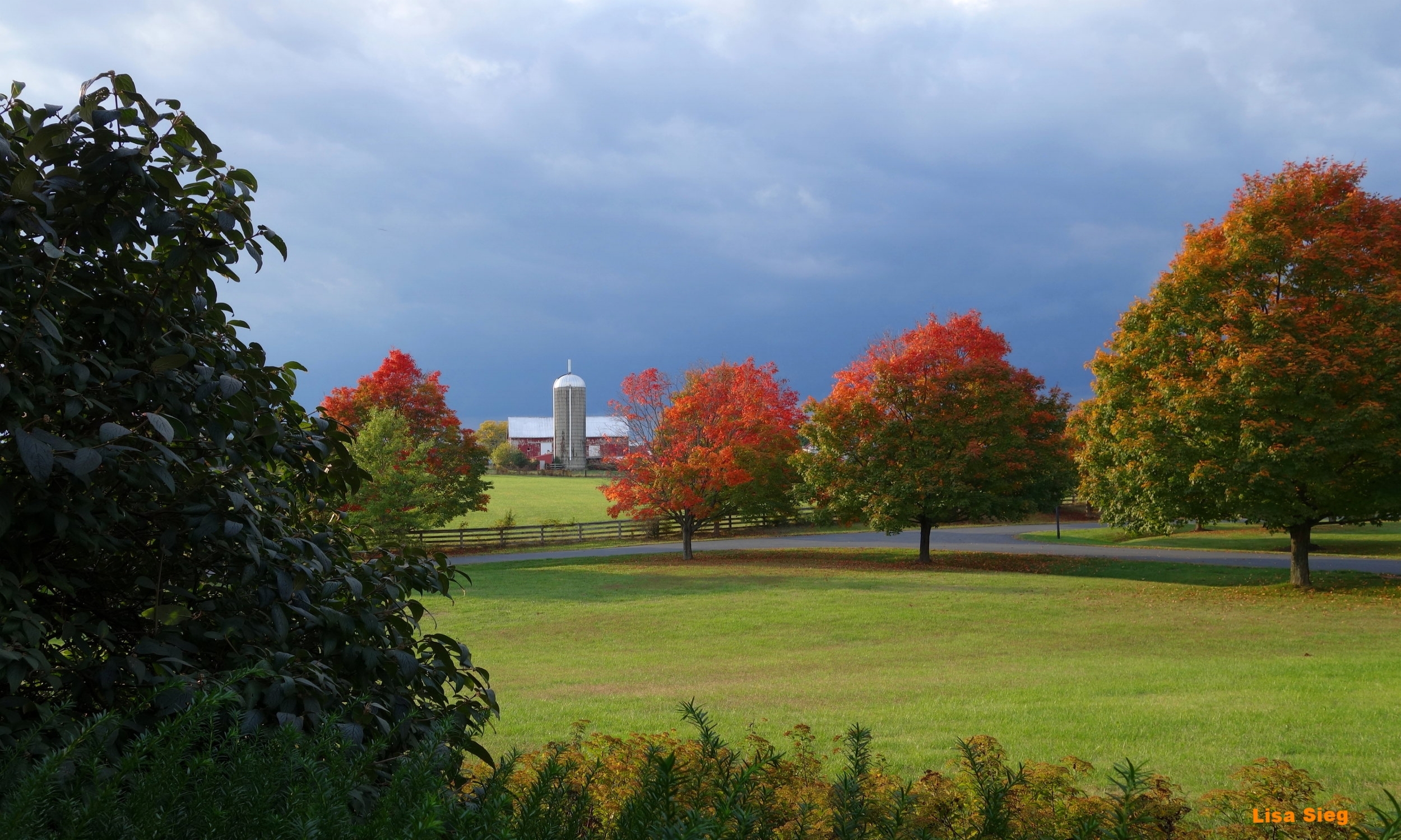 Silo Scene - October Morning