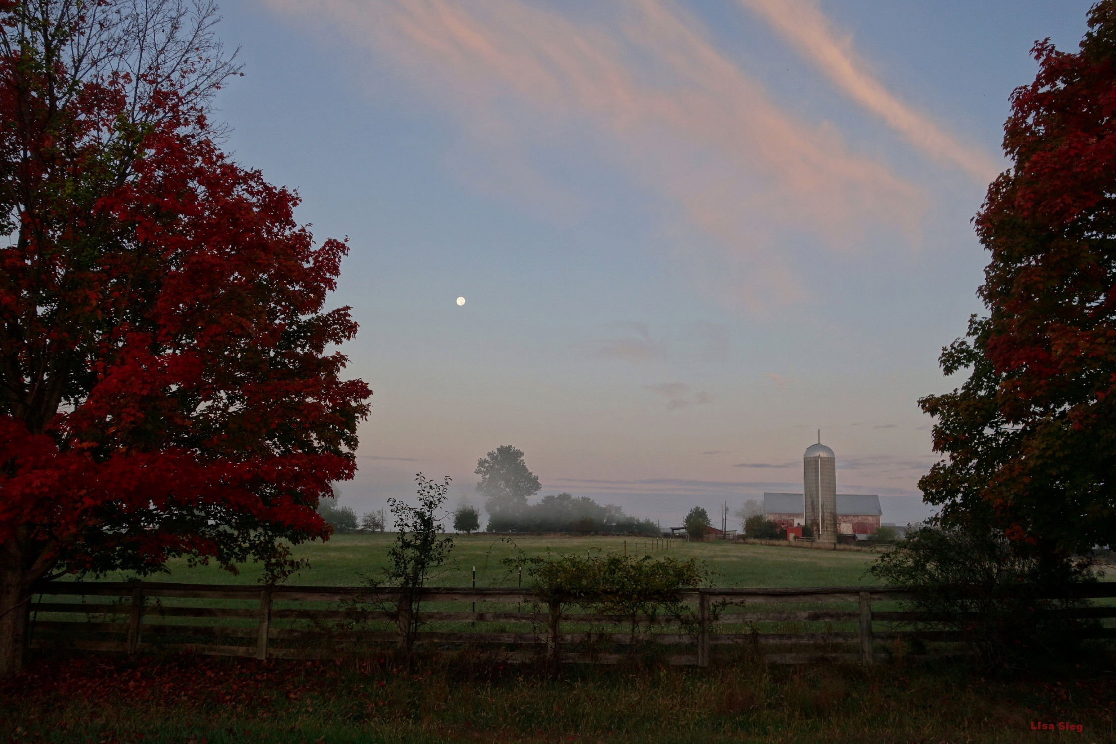 Early Morning Mist