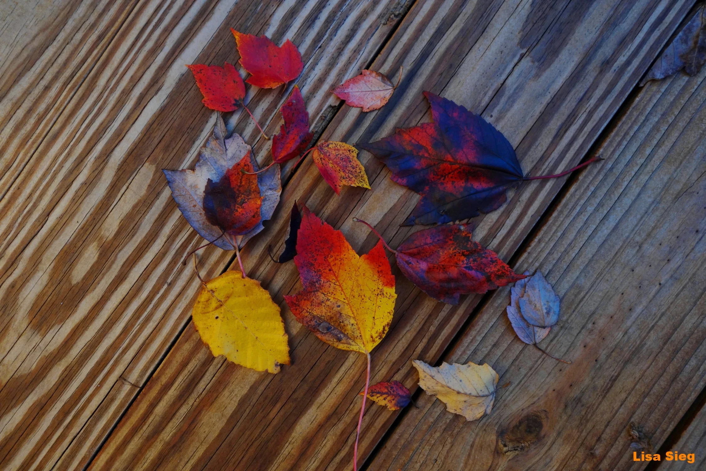 Deck Decor