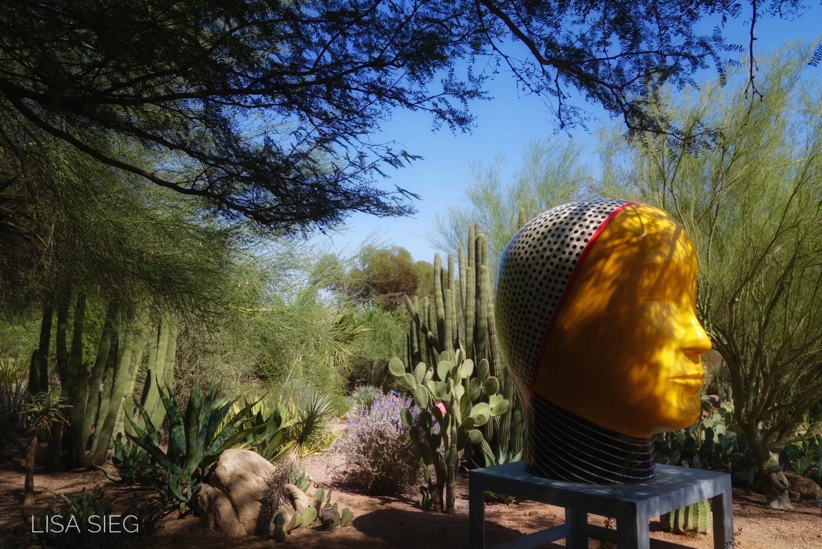 Mindful Meditation