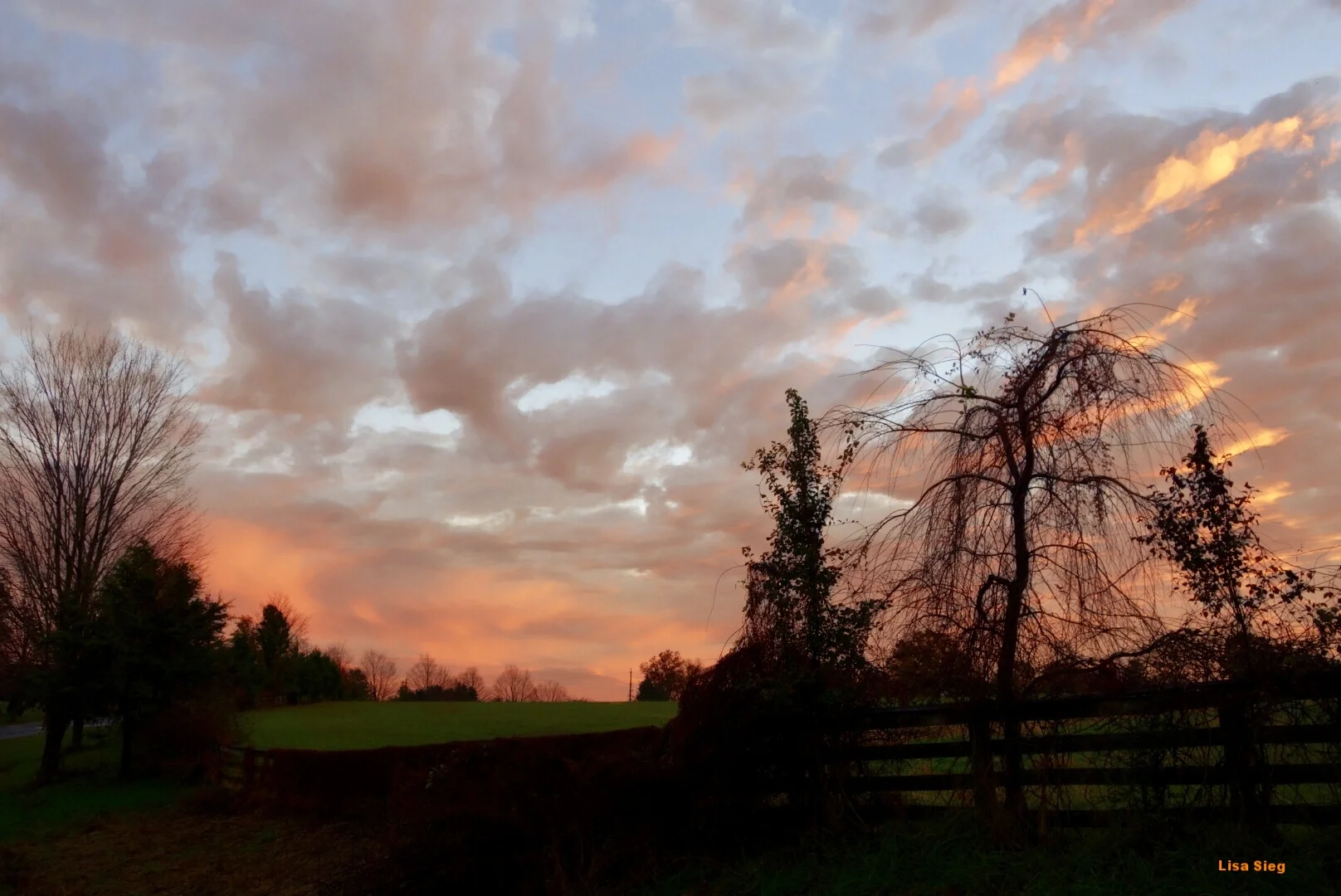 Mother Nature’s Paintbox