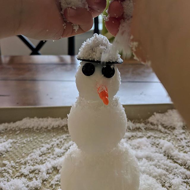 Happy Snow Day!  It may be the second day of Spring, but it sure feels like Winter!  We embraced the chilly weather by making a snowman out of water absorbing polymers.  Way cool science!

#snowday #teachersofinstagram #teachersfollowteachers #homesc