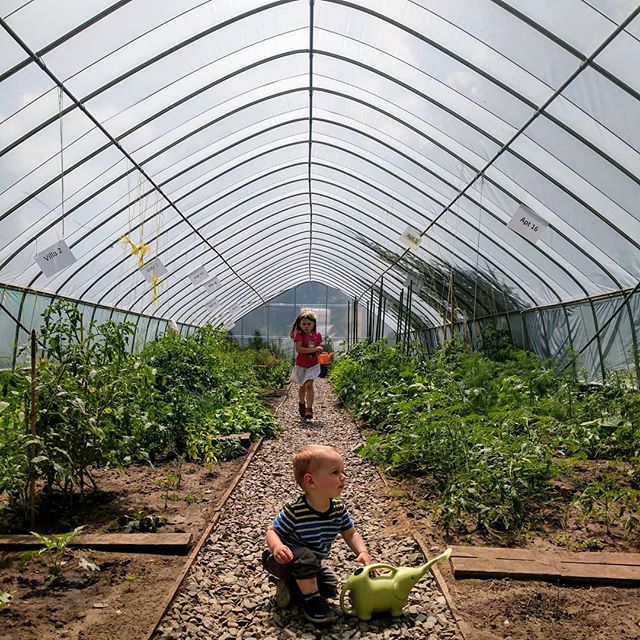 There is something so beautiful about a community garden.

#preschool #gardeningwithkids #naturekids