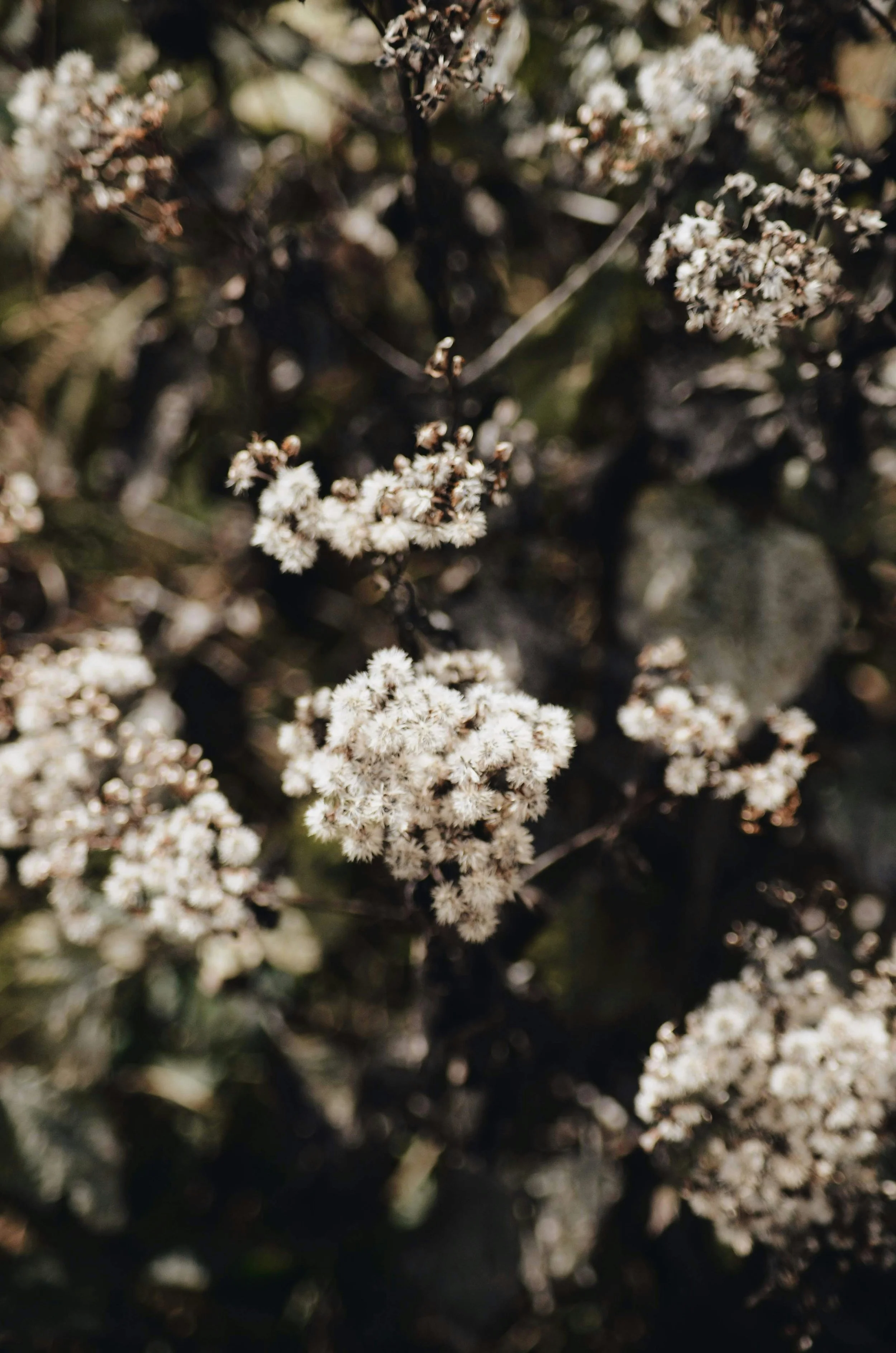 How to Use the Centering Prayer Throughout Your Day