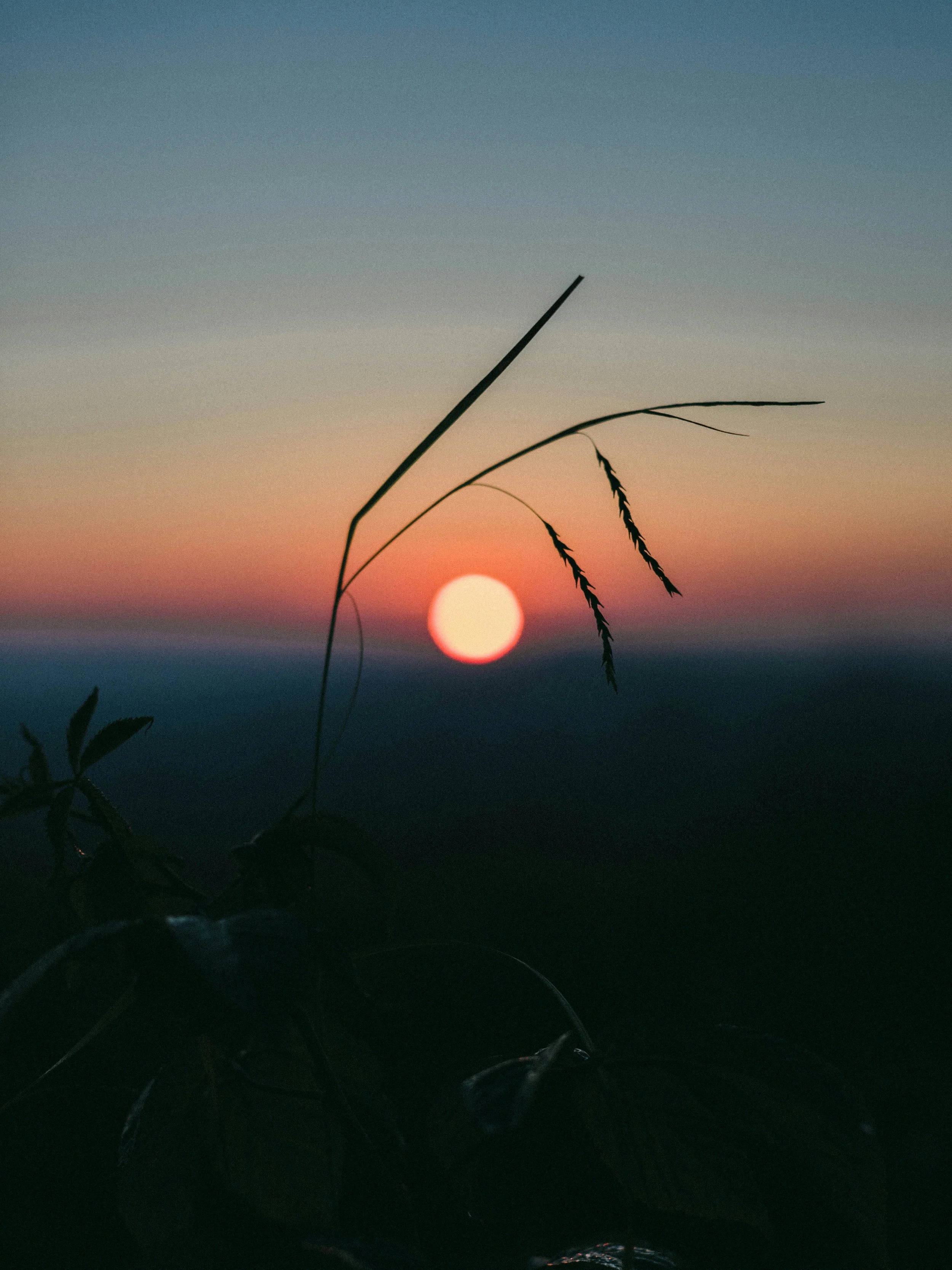 The Essential Truth of Why You Need a Spiritual Practice Right Now