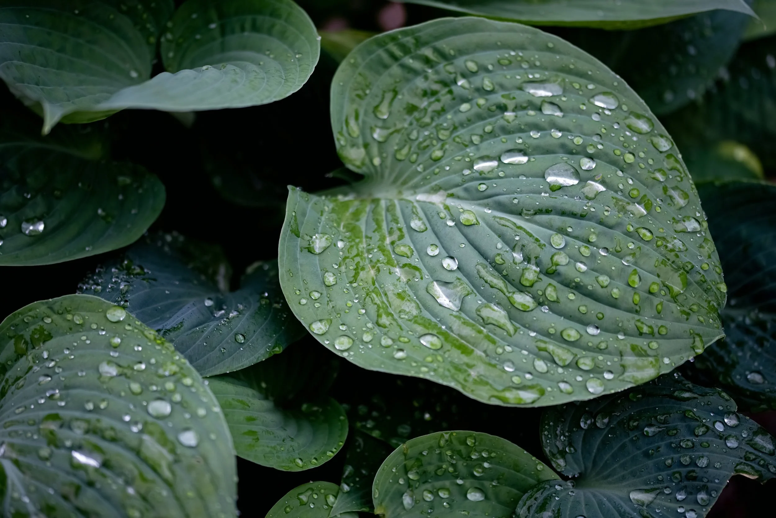 Experiencing Well-Being Part III