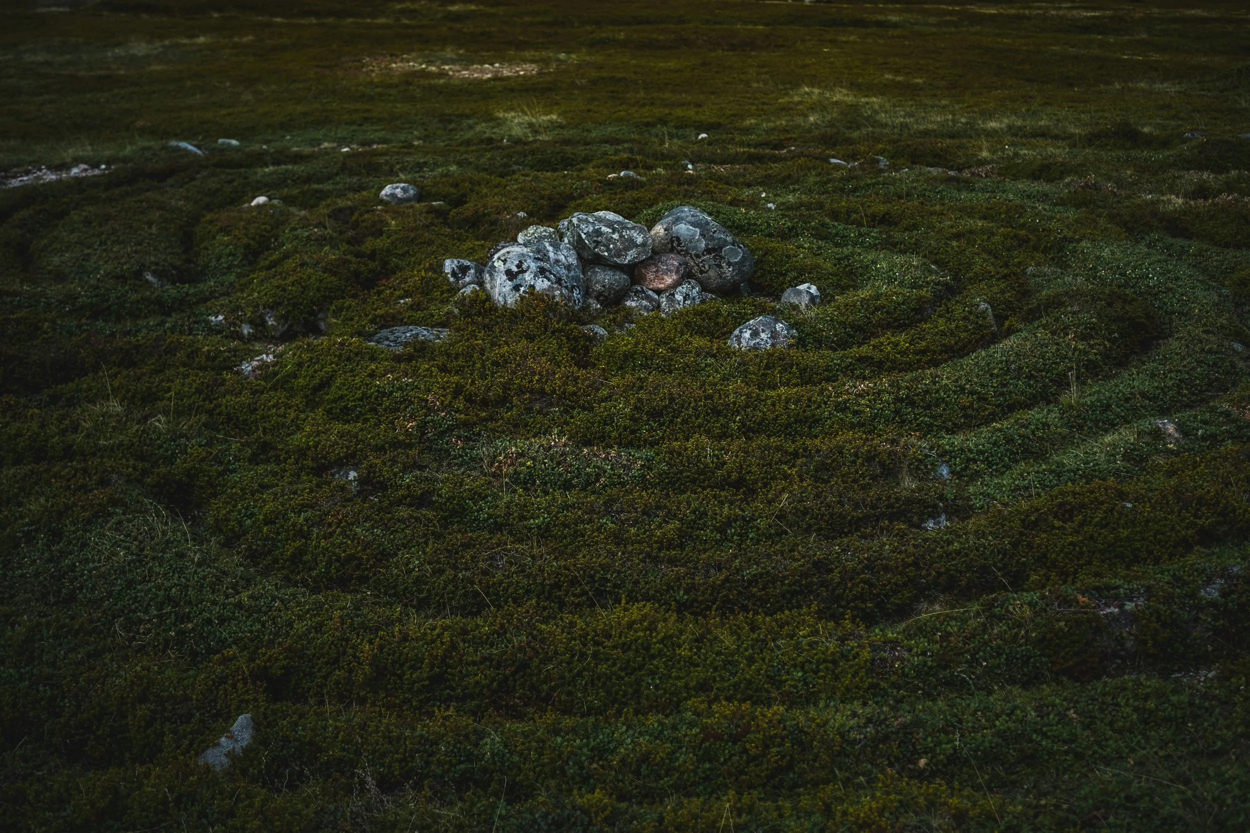 Cultivating Well-Being Part I