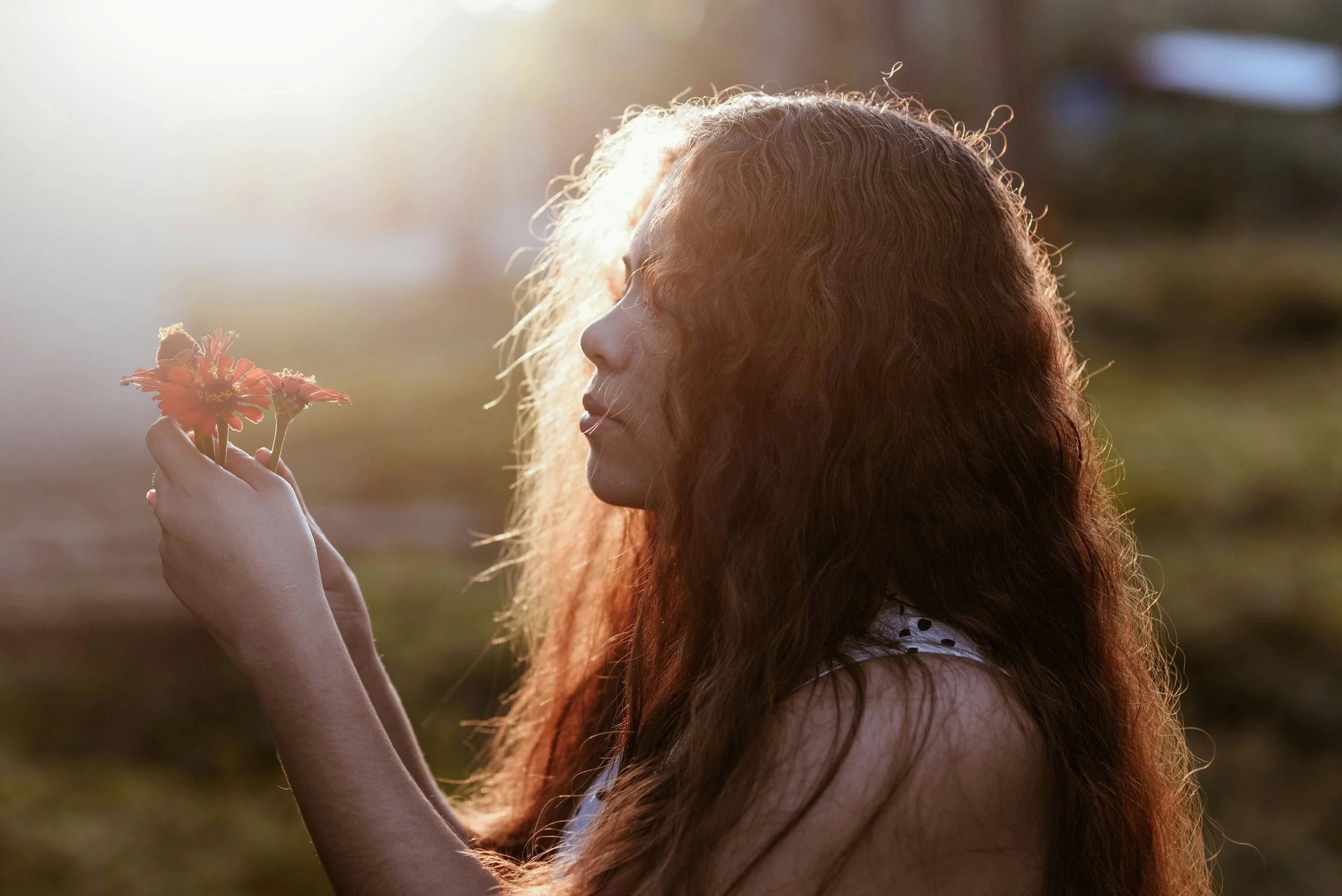 What is the Nous and How to Access It