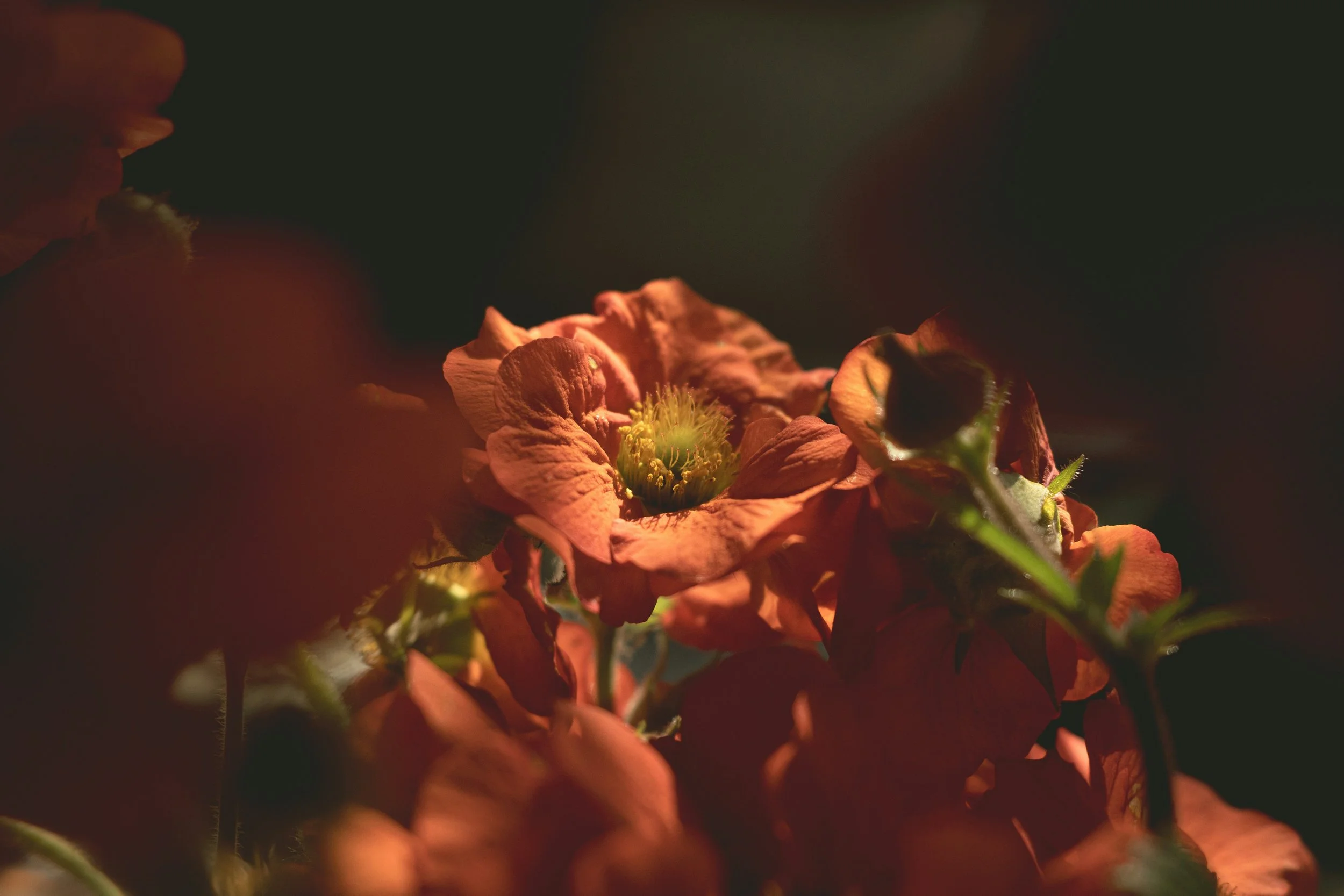 How to Reach Your Potential (Part 3)