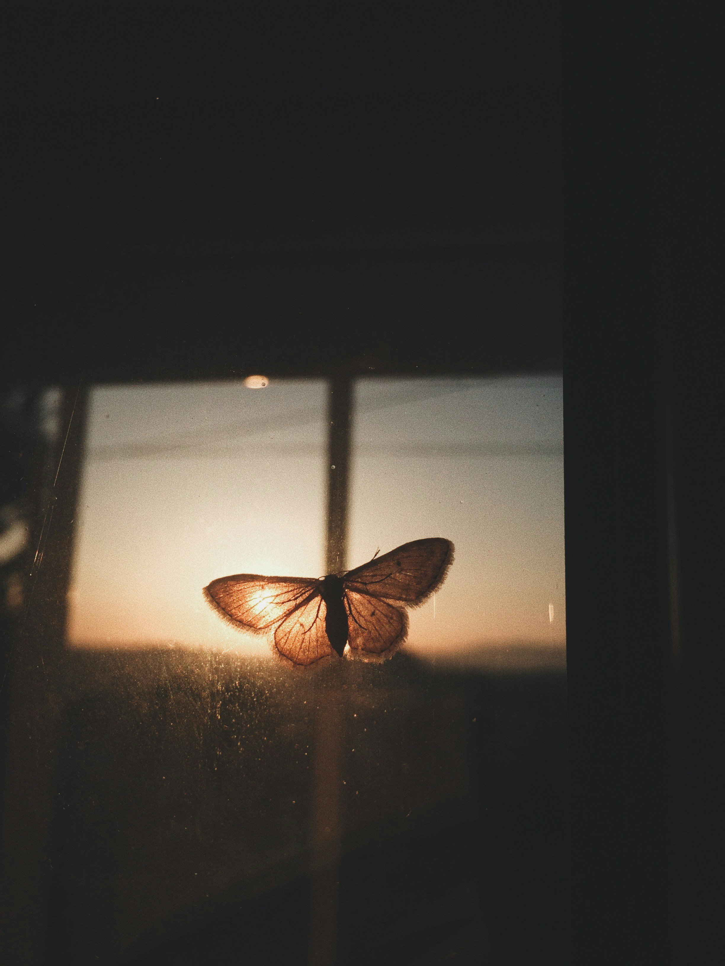 How to Manage Your Fear: 4 Exercises to Help