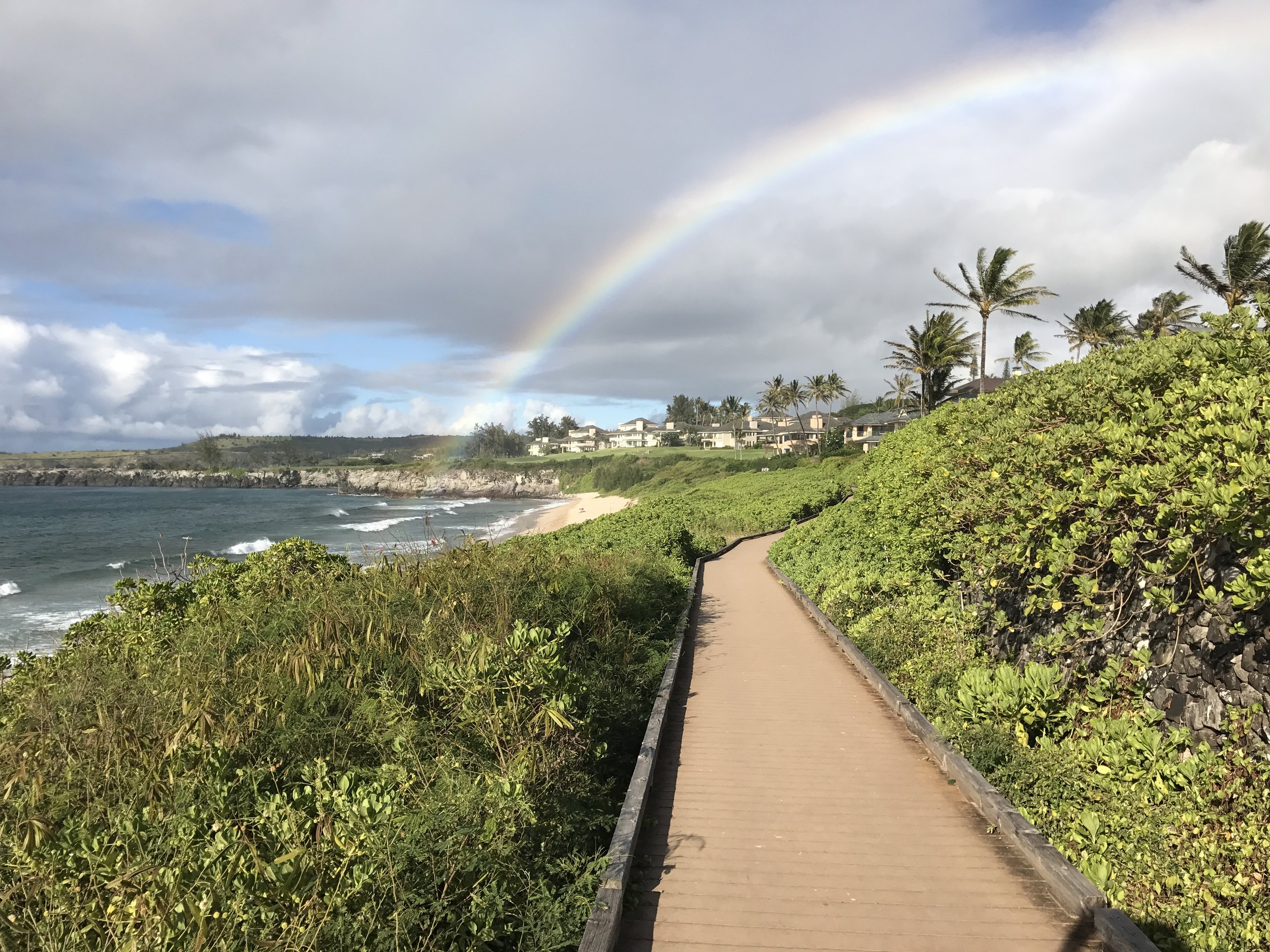 Decide Differently shakti sutriasa psychotherapy.JPG